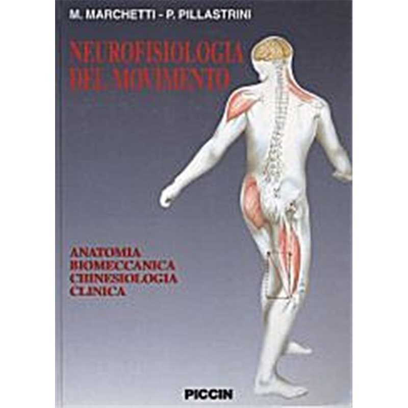 Neurofisiologia del movimento